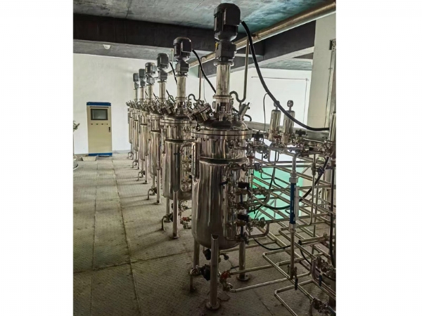 實驗室生物發(fā)酵罐